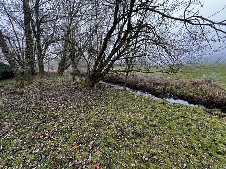 Au�enbereich Grundst�cksgrenze Bach geh�rt nicht dazuK�hler Immobilien GmbH Zweifamilienhaus Todenroth