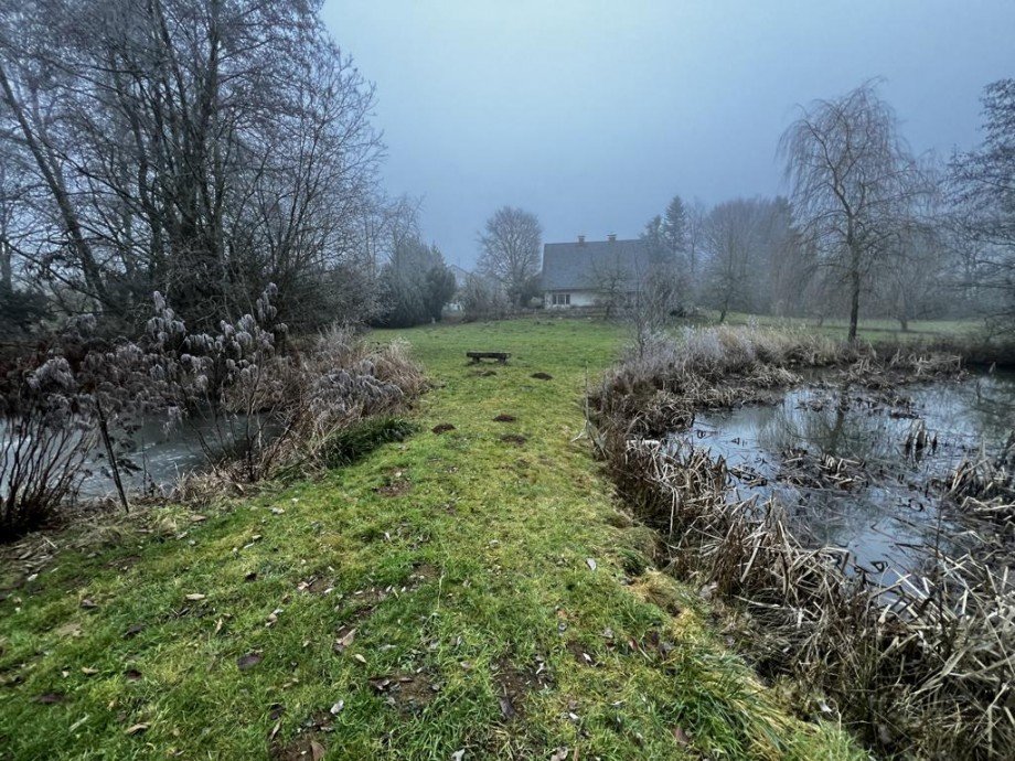 Au�enbereich Teich K�hler Immobilien GmbH Zweifamilienhaus Todenroth