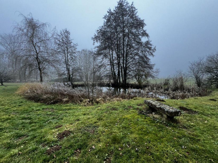 Au�enbereich Teich K�hler Immobilien GmbH Zweifamilienhaus Todenroth