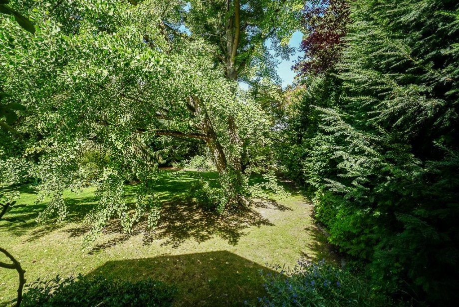 Bauland im privaten Parkgel�nde - Immobilien K�hle Wohngrundst�ck Bodenheim