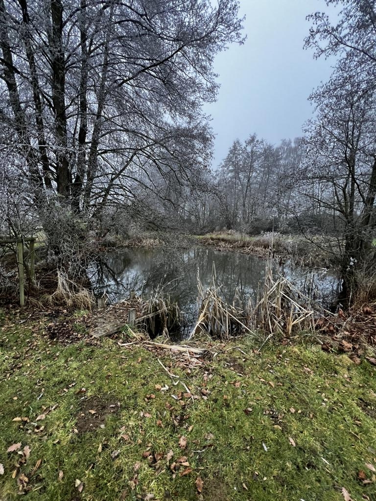 Au�enbereich Teich K�hler Immobilien GmbH Zweifamilienhaus Todenroth