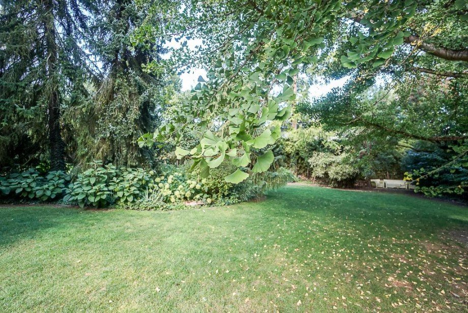 Bauland im privaten Parkgel�nde - Immobilien K�hle Wohngrundst�ck Bodenheim