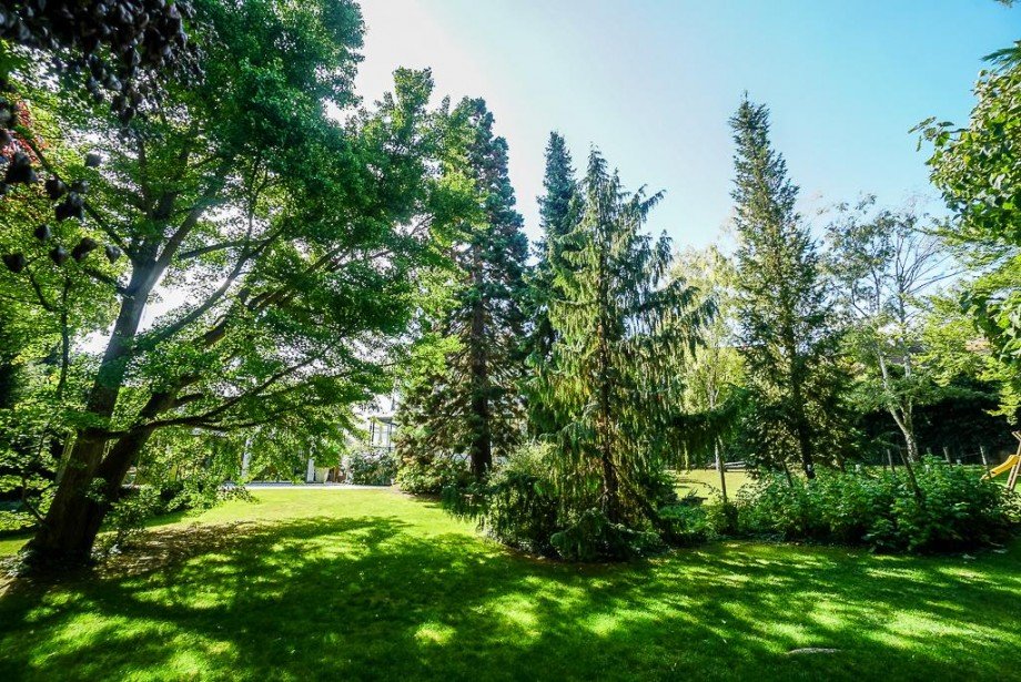 Park - Bauland Villa Bodenheim