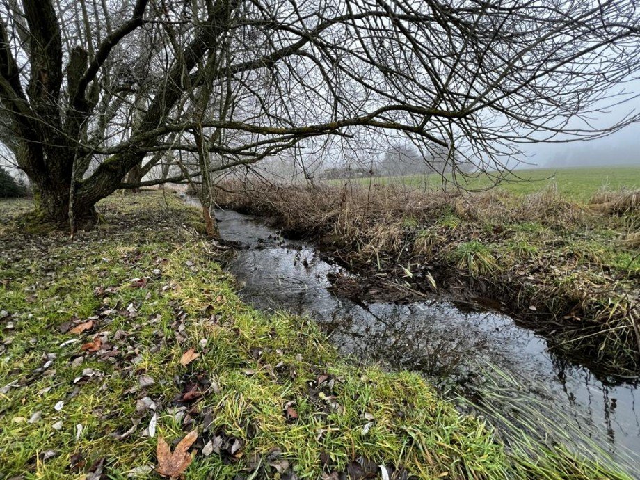 Au�enbereich Grundst�cksgrenze Bach geh�rt nicht dazuK�hler Immobilien GmbH Zweifamilienhaus Todenroth