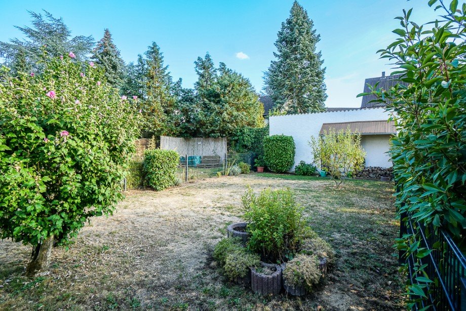 Haus Mainz Mombach - K�hler Immobilien Erdgeschosswohnung Mainz / Mombach