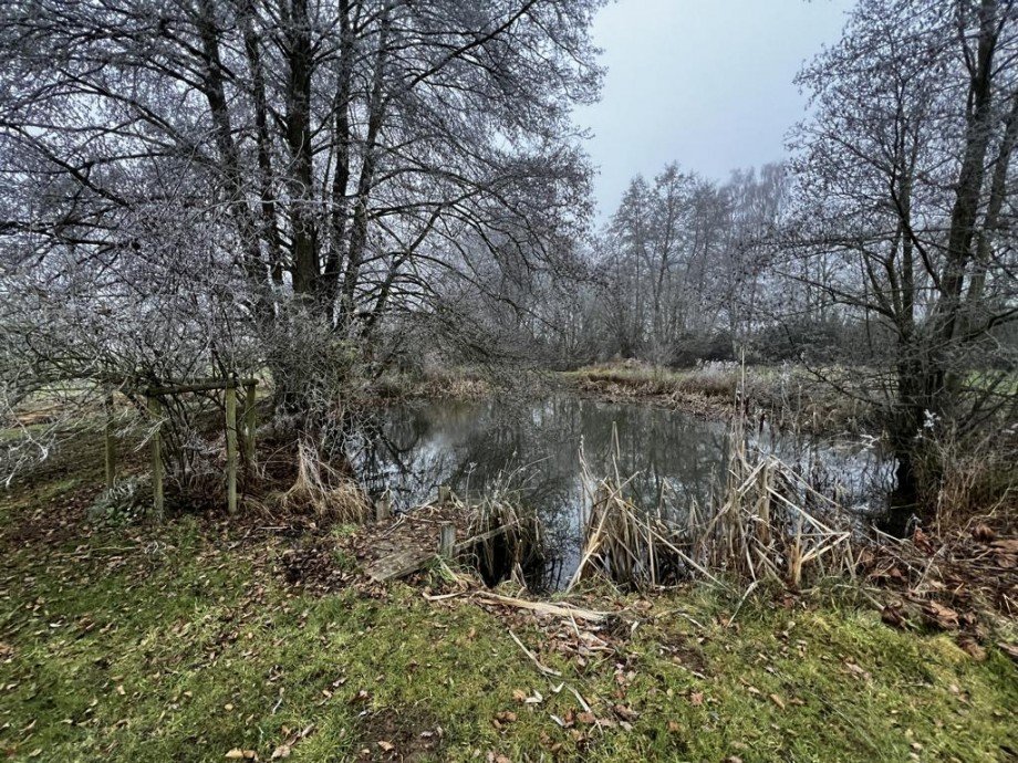 Au�enbereich Teich K�hler Immobilien GmbH Zweifamilienhaus Todenroth