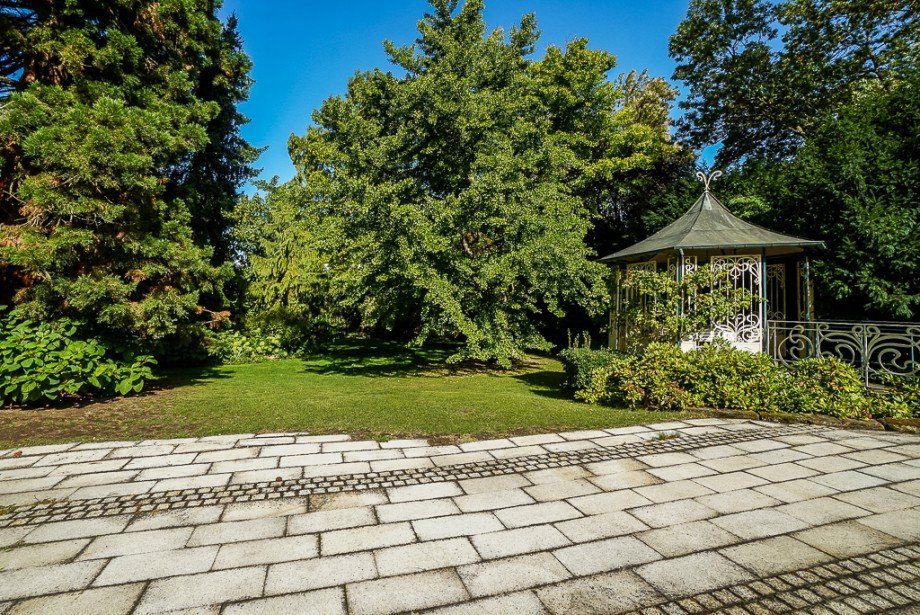 Terrasse vor Villa und Nebengeb�ude / Loft Villa Bodenheim