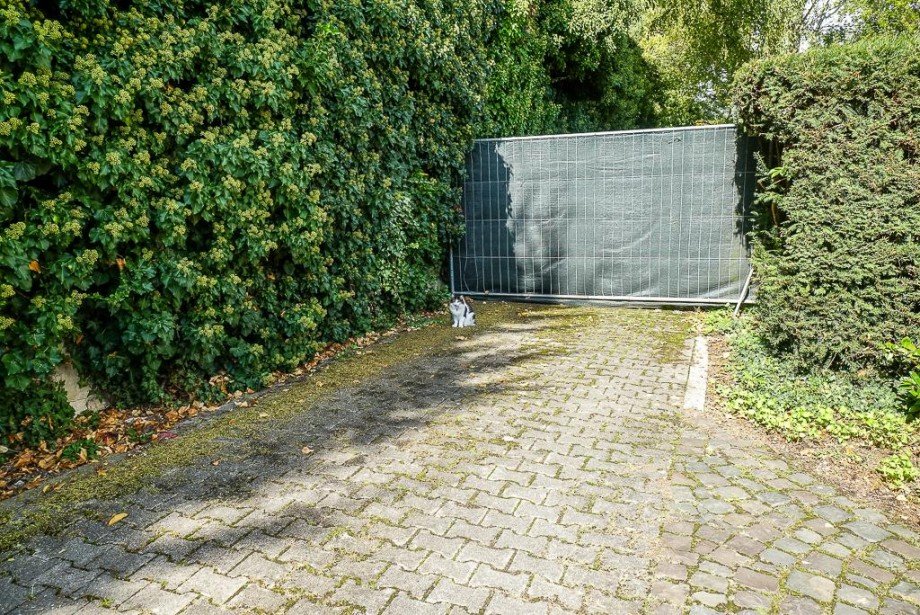 Zuweg zum Park und Bauland Villa Bodenheim