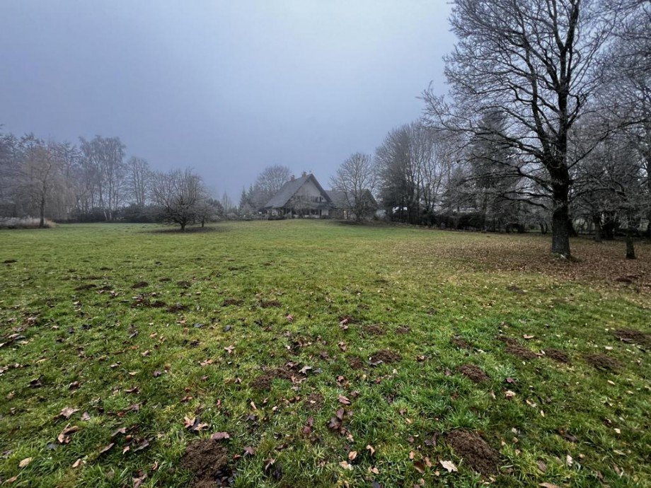 Au�enbereich K�hler Immobilien GmbH Zweifamilienhaus Todenroth