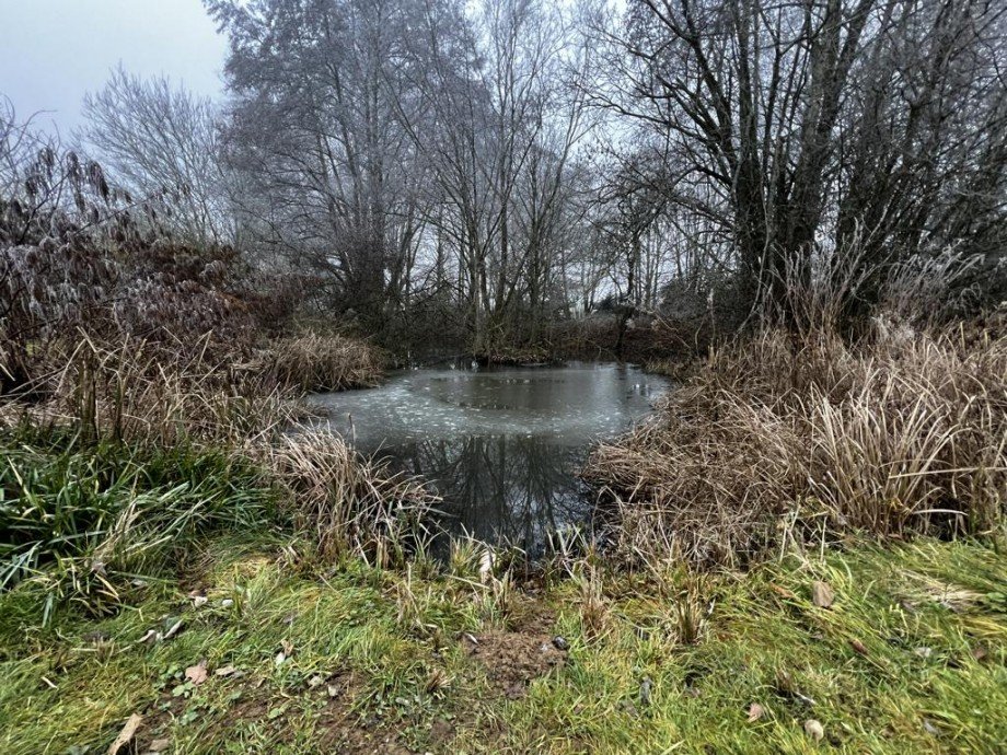 Au�enbereich Teich K�hler Immobilien GmbH Zweifamilienhaus Todenroth