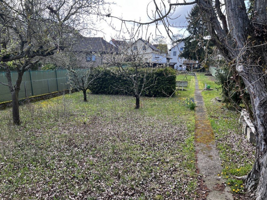 Vom Grundst�cksende i.R. Haus Wohngrundst�ck Gau Bischofsheim