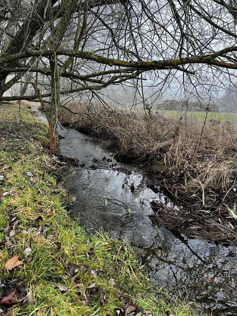 Au�enbereich Grundst�cksgrenze Bach geh�rt nicht dazuK�hler Immobilien GmbH Zweifamilienhaus Todenroth