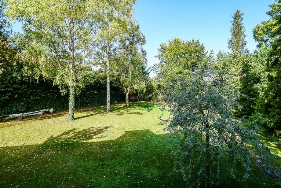 Park - Bauland Villa Bodenheim