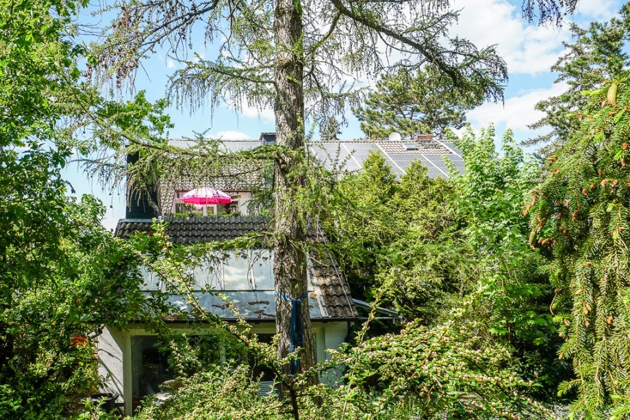 Haus Budenheim - K�hler Immobilien Einfamilienhaus Budenheim