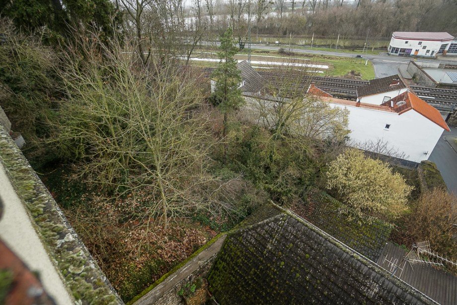 Grundst�ck Oppenheim - K�hler Immobilien Wohngrundst�ck Oppenheim
