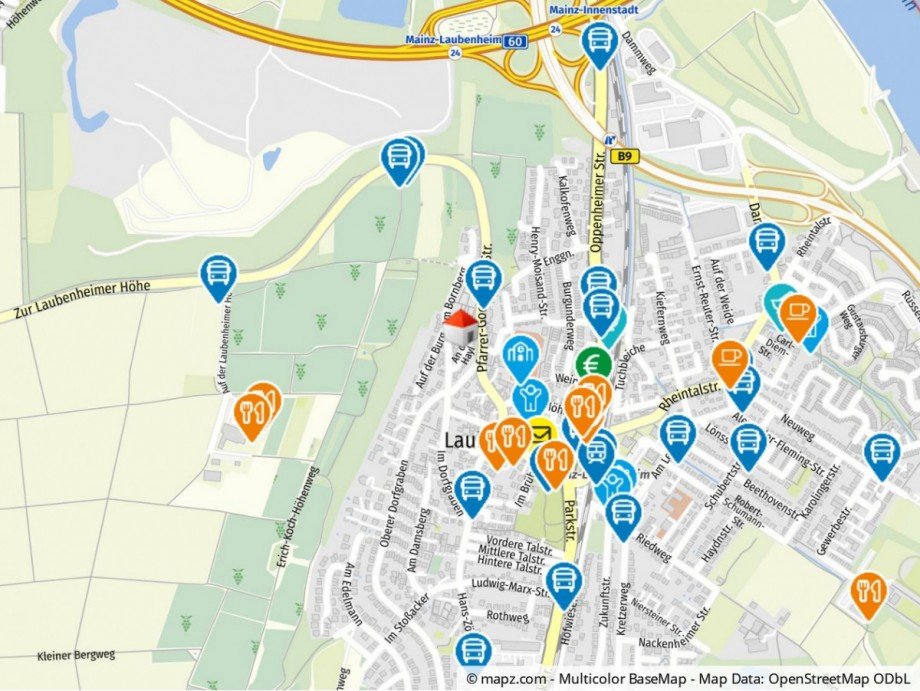 Geolyzer Kartenausschnitt Reihenendhaus Mainz / Mainz-Laubenheim